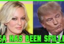 Stormy Daniels SPILLS THE TEA In Court To Trump’s Face | The Kyle Kulinski Show