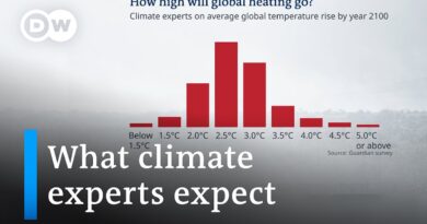 Survey: 77% of climate experts expect temperature rise by more than 2.5° by 2100 | DW News