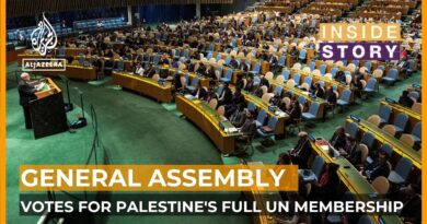 Sweeping support for full UN membership for Palestine | Inside Story