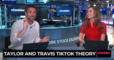 Taylor and Travis TikTok Theory