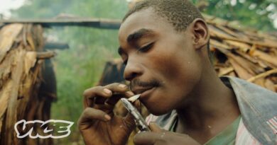 The Congolese Tribes Selling Weed to Survive