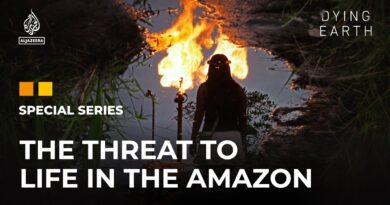 The Final Breath: The threat to life in the Amazon | Dying Earth: E5 | Featured Documentary