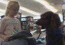 These Therapy Dogs Help Elementary Kids Read Better