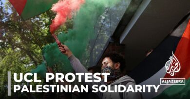 UK student protest: UCL Palestinian solidarity protests