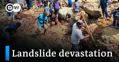 UN agency fears 670 dead after Papua New Guinea landslide | DW News