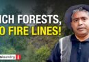 Uttarakhand: Forests across 1,500 hectares burned in a year. No fire lines drawn to prevent it