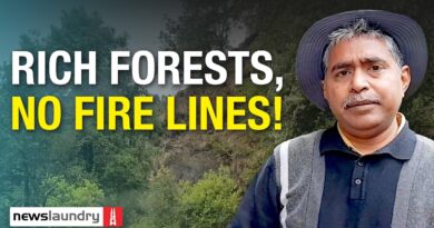 Uttarakhand: Forests across 1,500 hectares burned in a year. No fire lines drawn to prevent it