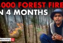 Uttarakhand: Over 1,000 forest fires in 4 months, crisis looms amid poor preparedness