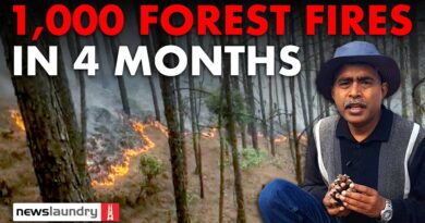 Uttarakhand: Over 1,000 forest fires in 4 months, crisis looms amid poor preparedness