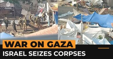 Video shows Israeli forces seizing corpses in Gaza | Al Jazeera Newsfeed