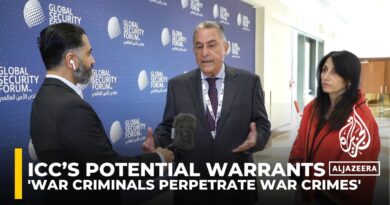 ‘War criminals perpetrate war crimes’ reactions from experts after ICC’s potential arrest warrants