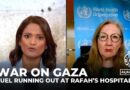 War on Gaza: ‘Please, please have a ceasefire now,’ WHO says