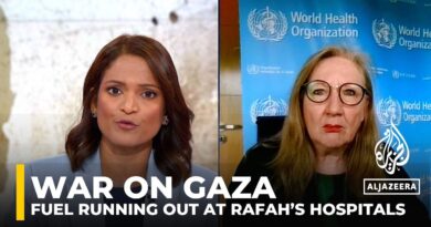 War on Gaza: ‘Please, please have a ceasefire now,’ WHO says