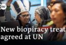 What you need to know about the new treaty to combat biopiracy | DW News