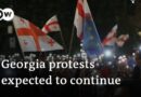 Who is behind Georgia’s controversial new media law? | DW News
