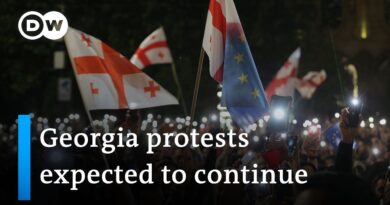 Who is behind Georgia’s controversial new media law? | DW News