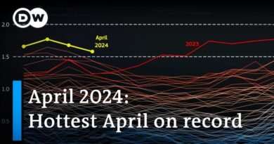 Why the global temperature record streak continues | DW News