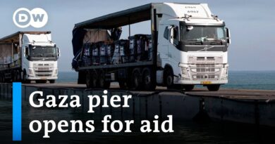 Will Gaza aid pier be enough to save famine-stricken Palestinians? | DW News