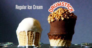 Will This Nestle Drumstick Ice Cream Melt?