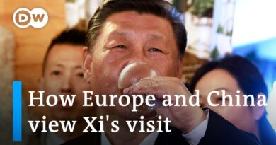 Xi leaves Europe saying Hungary and China will enjoy ‘golden voyage’ in relations | DW News