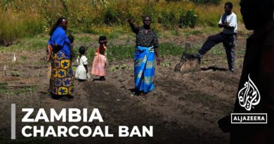 Zambia charcoal restriction: Livelihoods affected by ban