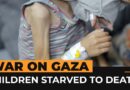 Israel’s forced starvation in Gaza has killed dozens of children | Al Jazeera Newsfeed
