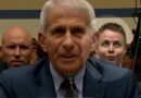 Jan. 6 Rioter Makes Faces Behind Fauci During House Hearing