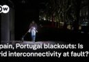 Energy analyst: Grid resilience requires ‘efficiency’ and a ‘distributive’ energy supply | DW News