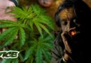 The Country Where Weed Is Legal One Day A Year