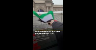 Activists rally near Met Gala over Gaza siege and famine