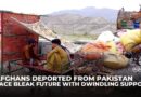 Afghans deported from Pakistan struggle to rebuild lives with limited aid and housing