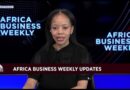 Africa Business Weekly: Godongwana cancels VAT hike: What is next?