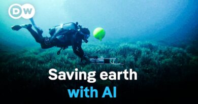AI and biodiversity | DW Documentary