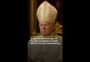 AI-generated image of Trump as pope is the latest White House controversy | AJ#shorts