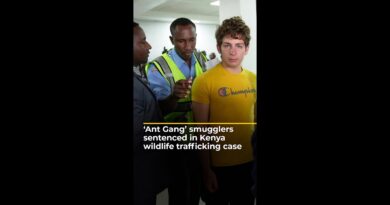 ‘Ant Gang’ smugglers sentenced in Kenya wildlife trafficking case | #ajshorts