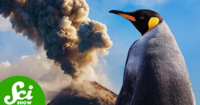 Antarctica’s Hidden Volcanoes are About to be a Problem