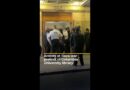 Arrests at Columbia University protest against Gaza war | AJ #shorts