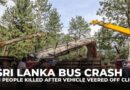 At least 21 die in Sri Lanka after bus carrying pilgrims veers off cliff
