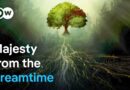 Australia’s king eucalyptus | DW Documentary