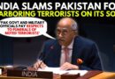 ‘Baseless allegations Of Representatives Of Pakistan’: India Slams Pakistan For Harboring Terrorists