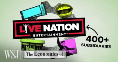 Behind Live Nation’s $23B Grip on the Live Music Industry | WSJ The Economics Of