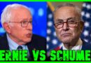 Bernie CALLS OUT Chuck Schumer Live On CNN | The Kyle Kulinski Show