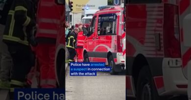 BREAKING: Knife attack in Hamburg | DW News