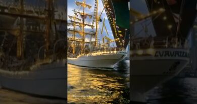 Brooklyn Bridge Hit by Mexican Navy Sailing Ship