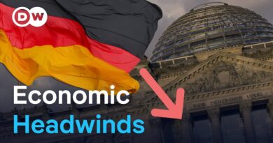 Can Germany weather the economic storm of its own making? | DW News