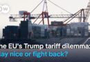 Can the European Union strike a better tariff deal with Trump than the UK did? | DW News