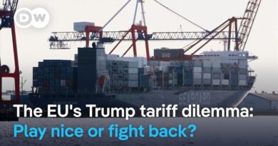 Can the European Union strike a better tariff deal with Trump than the UK did? | DW News