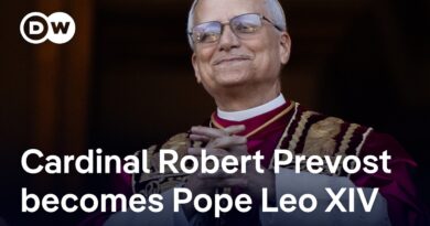 Cardinal Robert Prevost elected as first American-born Pope Leo XIV | DW News