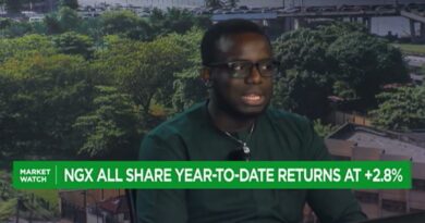 Cardinal Stone: Q1’25 earnings to drive sentiments in Nigeria equities