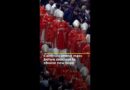Cardinals attend mass before conclave to choose new pope